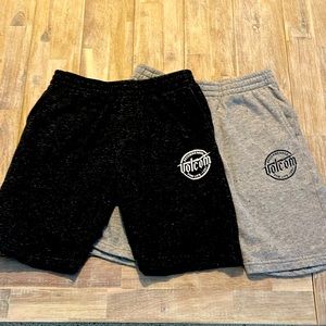 Lot of 2 Volcom Shorts NWOT